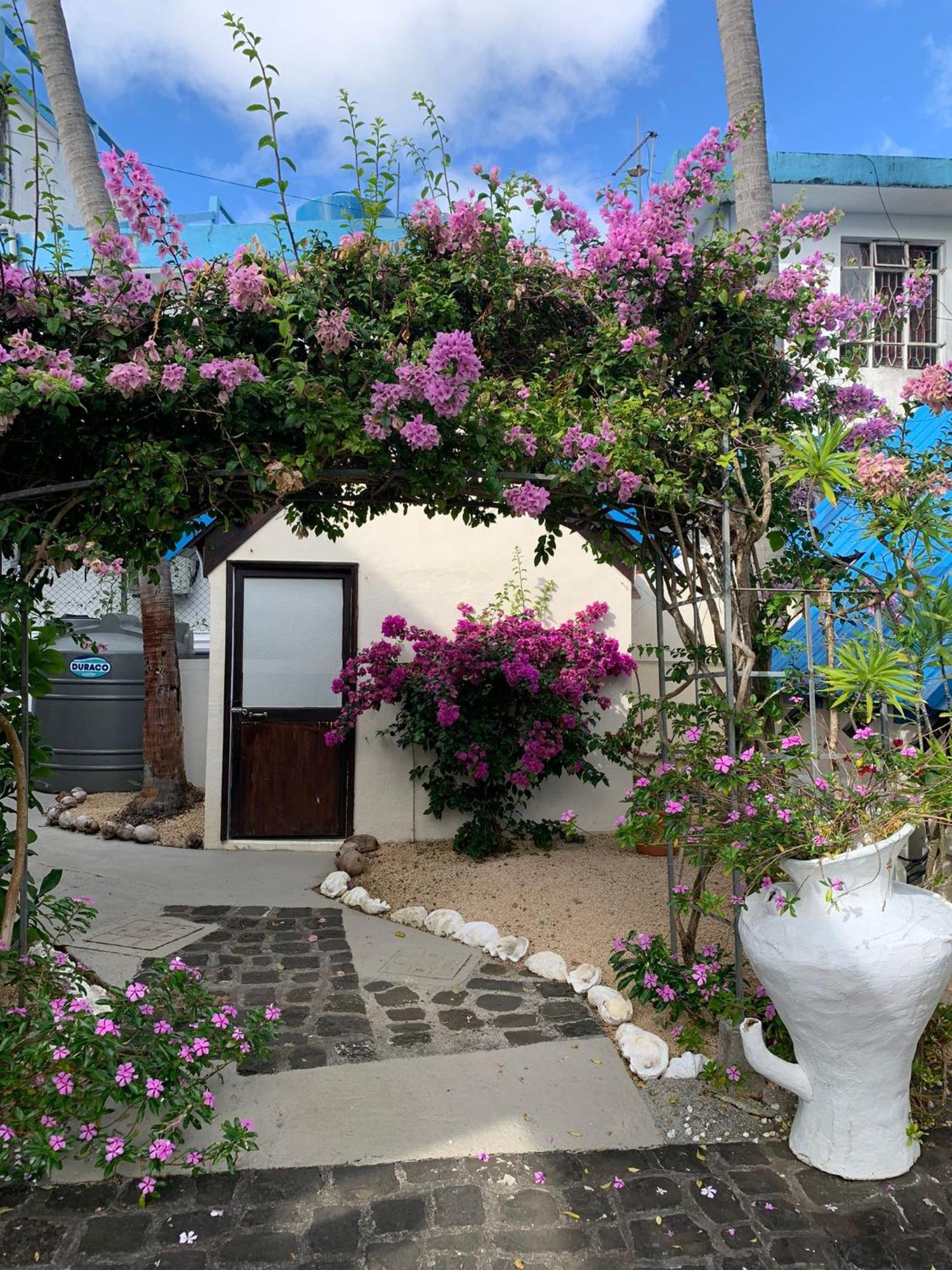Chillpill Guest House Mahébourg Εξωτερικό φωτογραφία