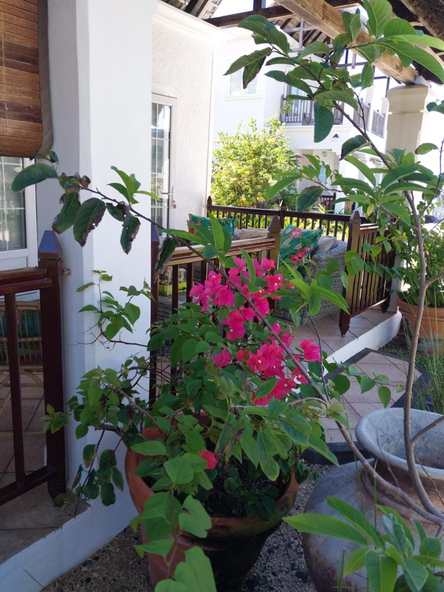 Chillpill Guest House Mahébourg Εξωτερικό φωτογραφία